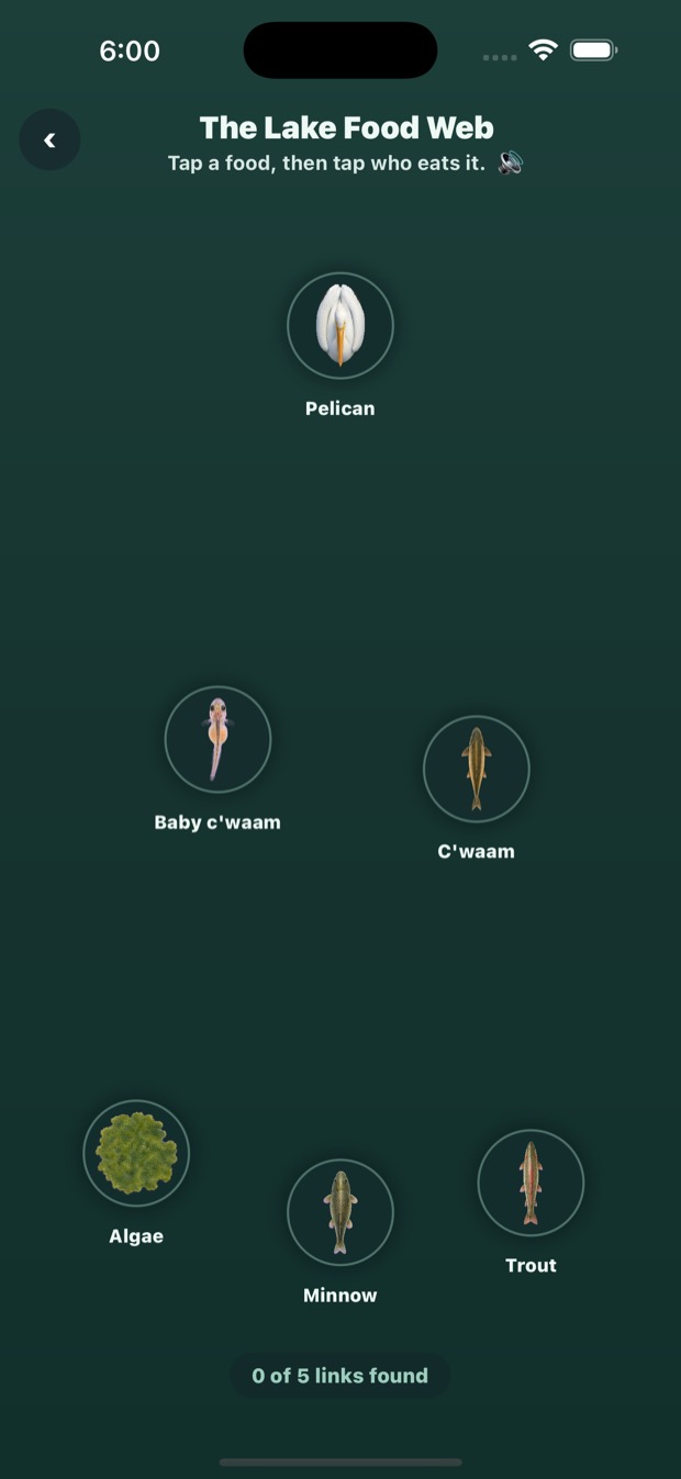 The Lake Food Web screen