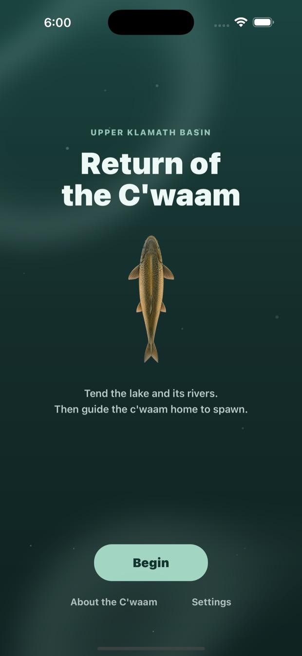 Return of the C'waam