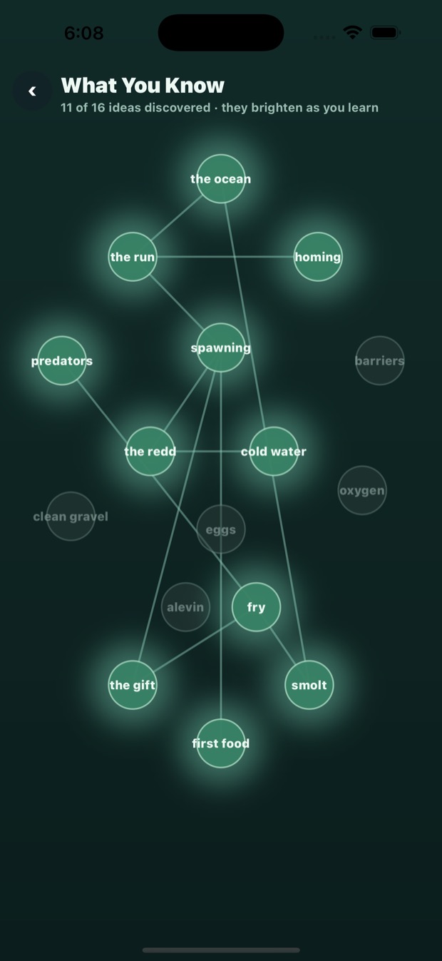 What You Know concept map